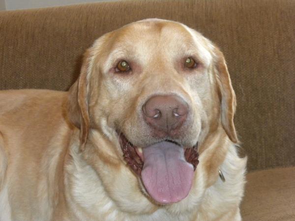 /Images/uploads/Humane Society of Utah/HSUCalendar/entries/1680thumb.jpg